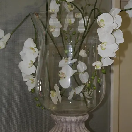 Windsor Ξενοδοχείο