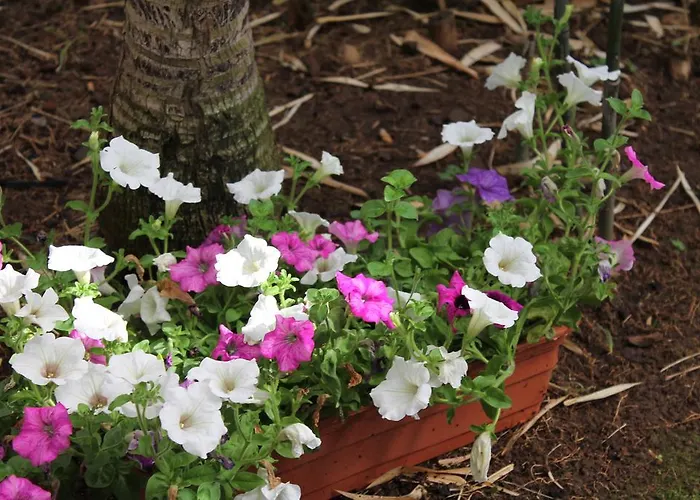 Windsor Funchal (Madeira)